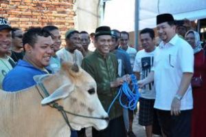 Wawali Mor Bastiaan menyerahkan sapi untuk dijadikan hewan qurban.(foto: ist) 